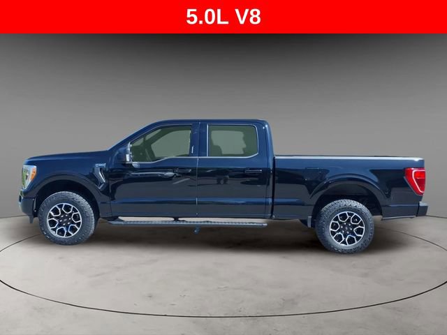Used 2023 Ford F150 XLT w/ Equipment Group 302A High AWD/4WD image 2