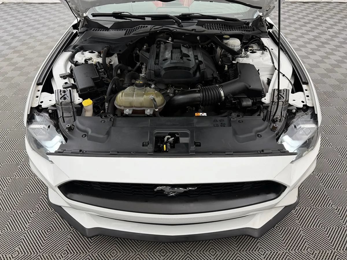 Used 2018 Ford Mustang Premium w/ Equipment Group 201A RWD image 42