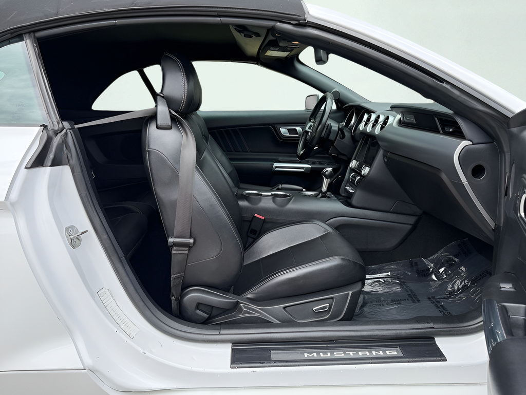 Used 2019 Ford Mustang Premium RWD image 24