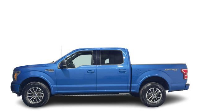 Used 2019 Ford F150 XLT w/ Equipment Group 302A Luxury AWD/4WD image 1