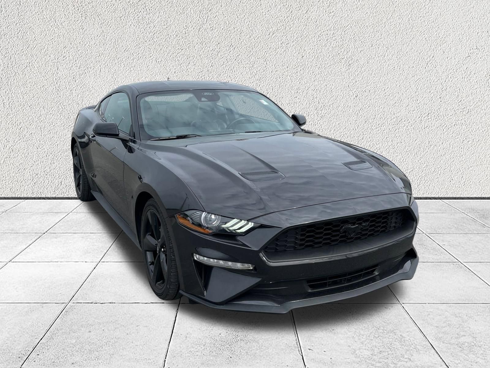 Used 2023 Ford Mustang Premium w/ Mustang Nite Pony Package image 2