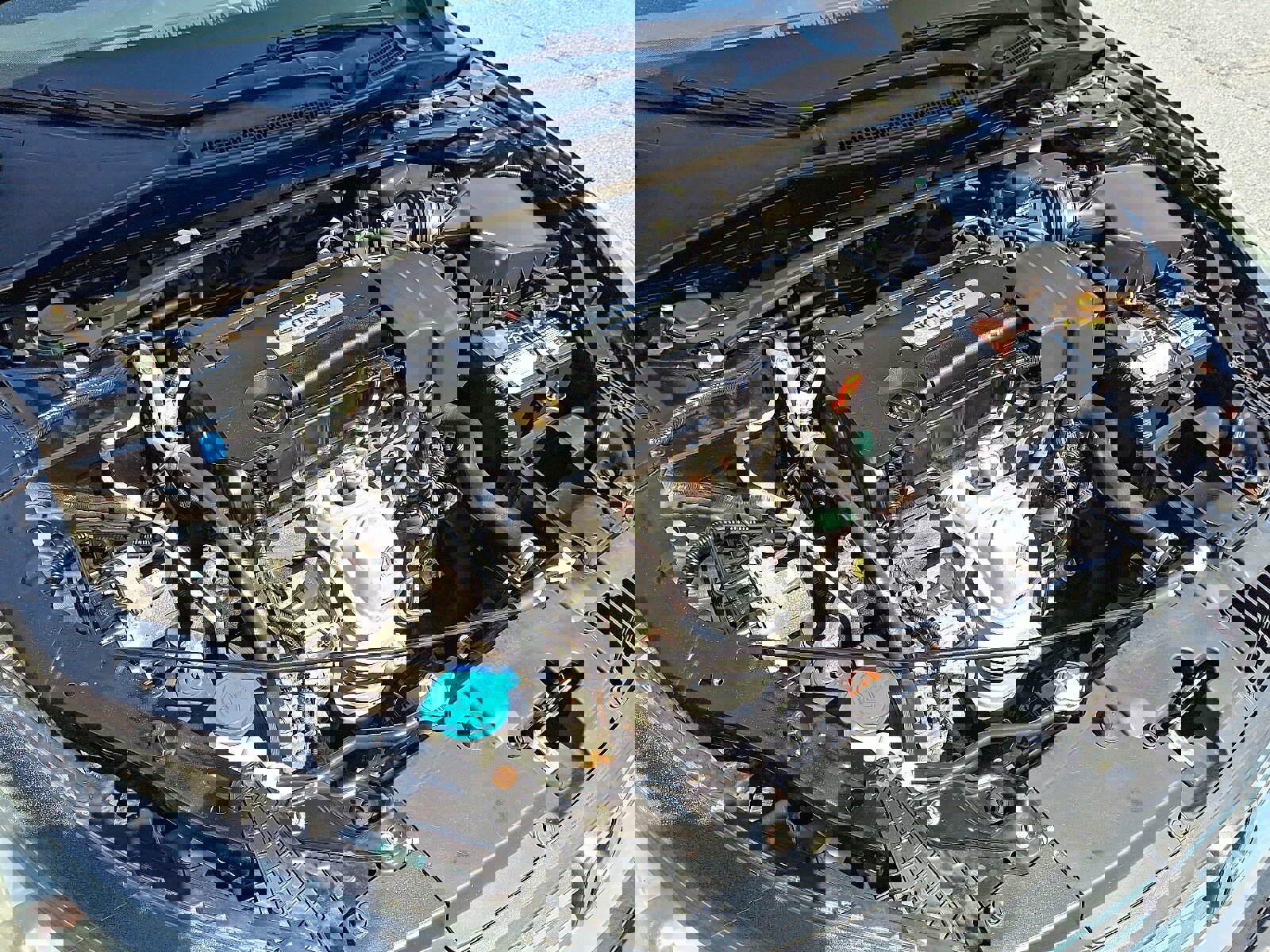 Used 2013 Honda Accord EX image 28