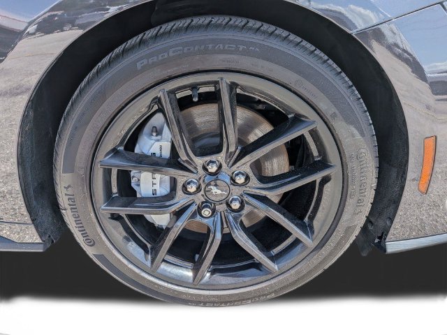 Used 2024 Ford Mustang GT Premium w/ Mustang Nite Pony Package RWD image 12