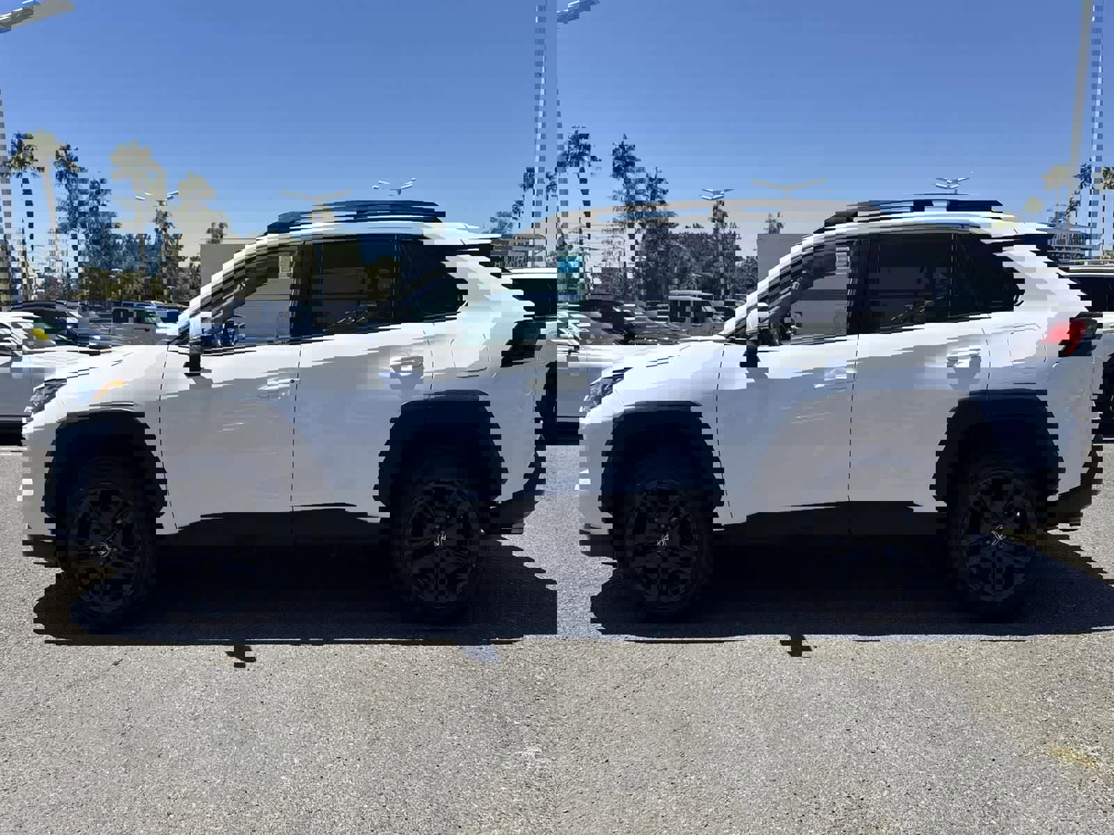 Used 2023 Toyota RAV4 Adventure image 5