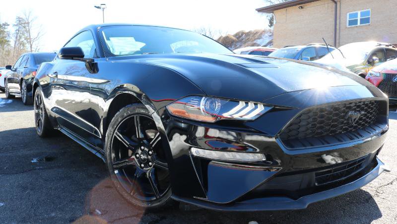 Used 2019 Ford Mustang EcoBoost Fastback w/ Black Accent Package image 3