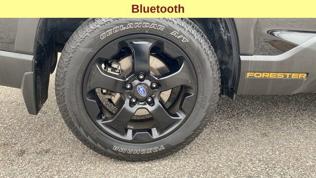 Certified 2023 Subaru Forester Wilderness image 12