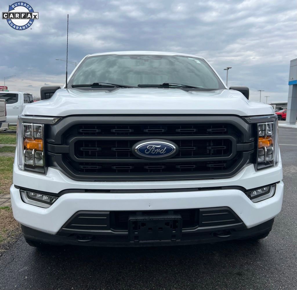 Used 2023 Ford F150 XLT w/ Equipment Group 302A High AWD/4WD image 3