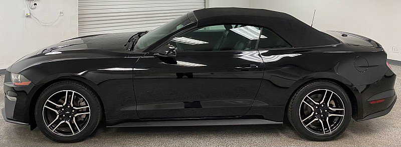 Used 2019 Ford Mustang Premium image 8