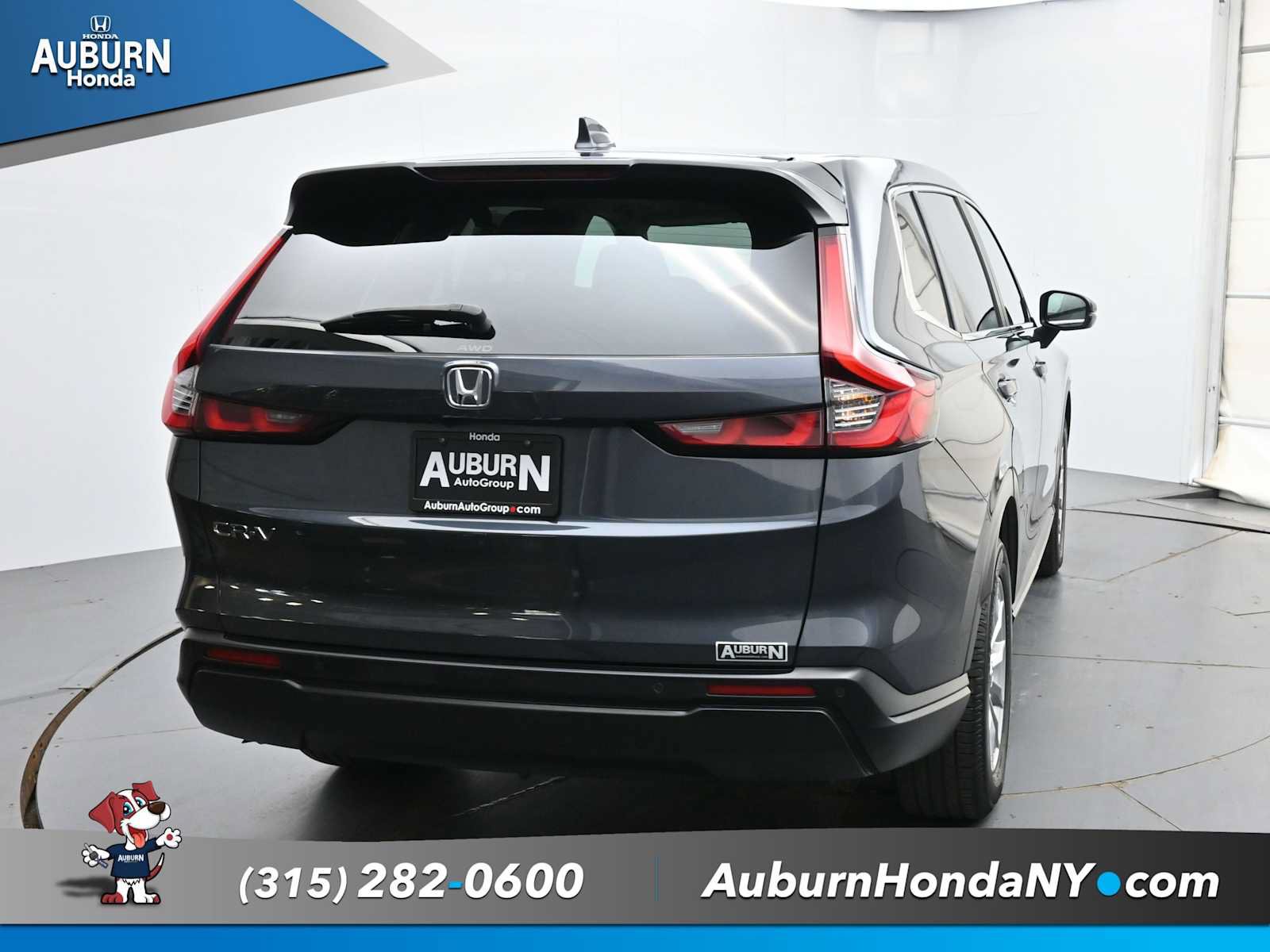 Used 2025 Honda CR-V EX-L image 4