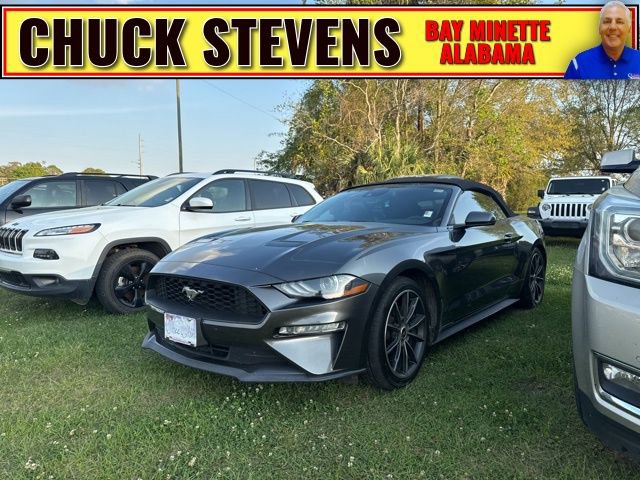 Used 2019 Ford Mustang Premium w/ Equipment Group 201A RWD image 1