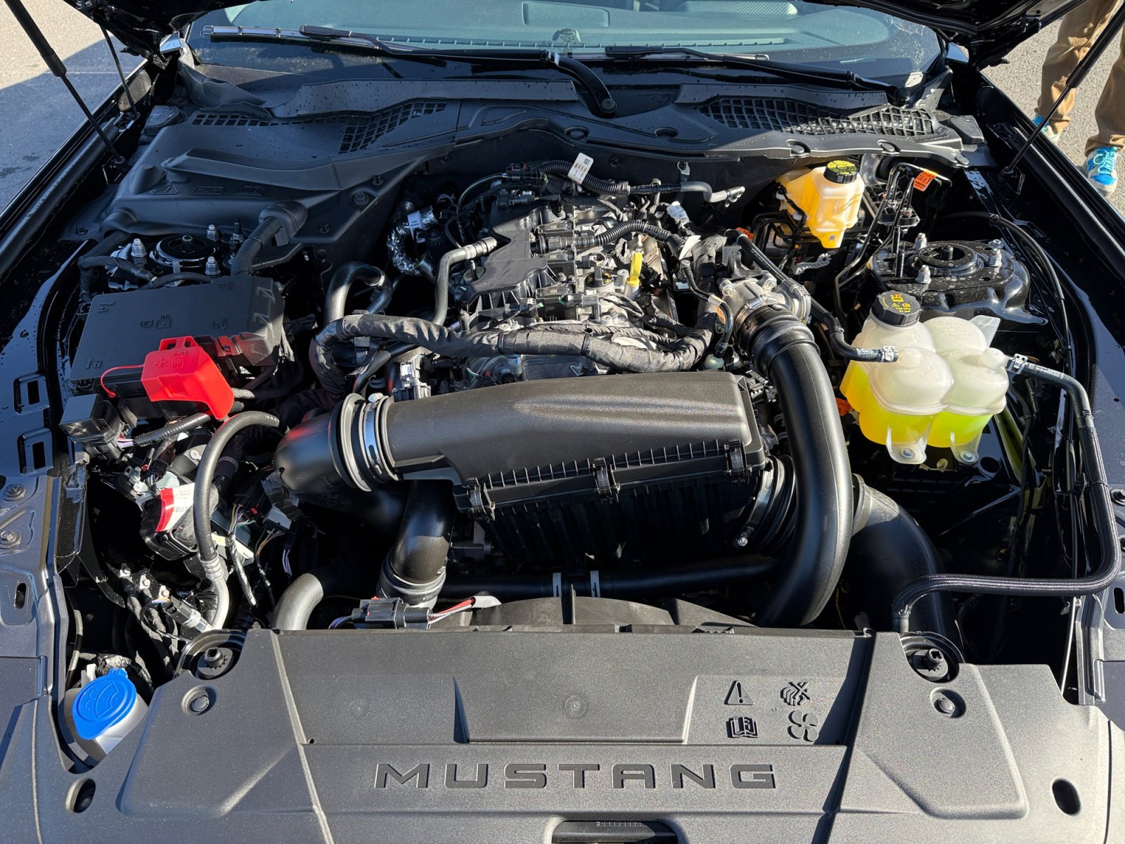 New 2026 Ford Mustang Coupe image 20