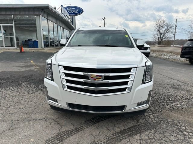 Used 2019 Cadillac Escalade Luxury image 8