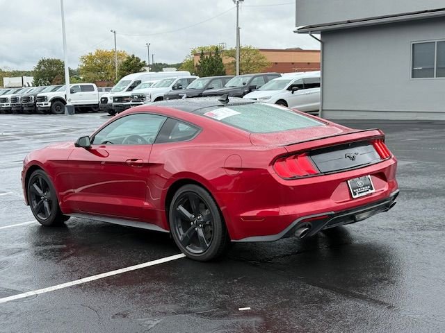 Used 2023 Ford Mustang Coupe w/ Equipment Group 101A image 5