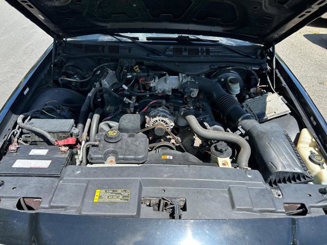 Used 2011 Ford Crown Victoria Police Interceptor image 20