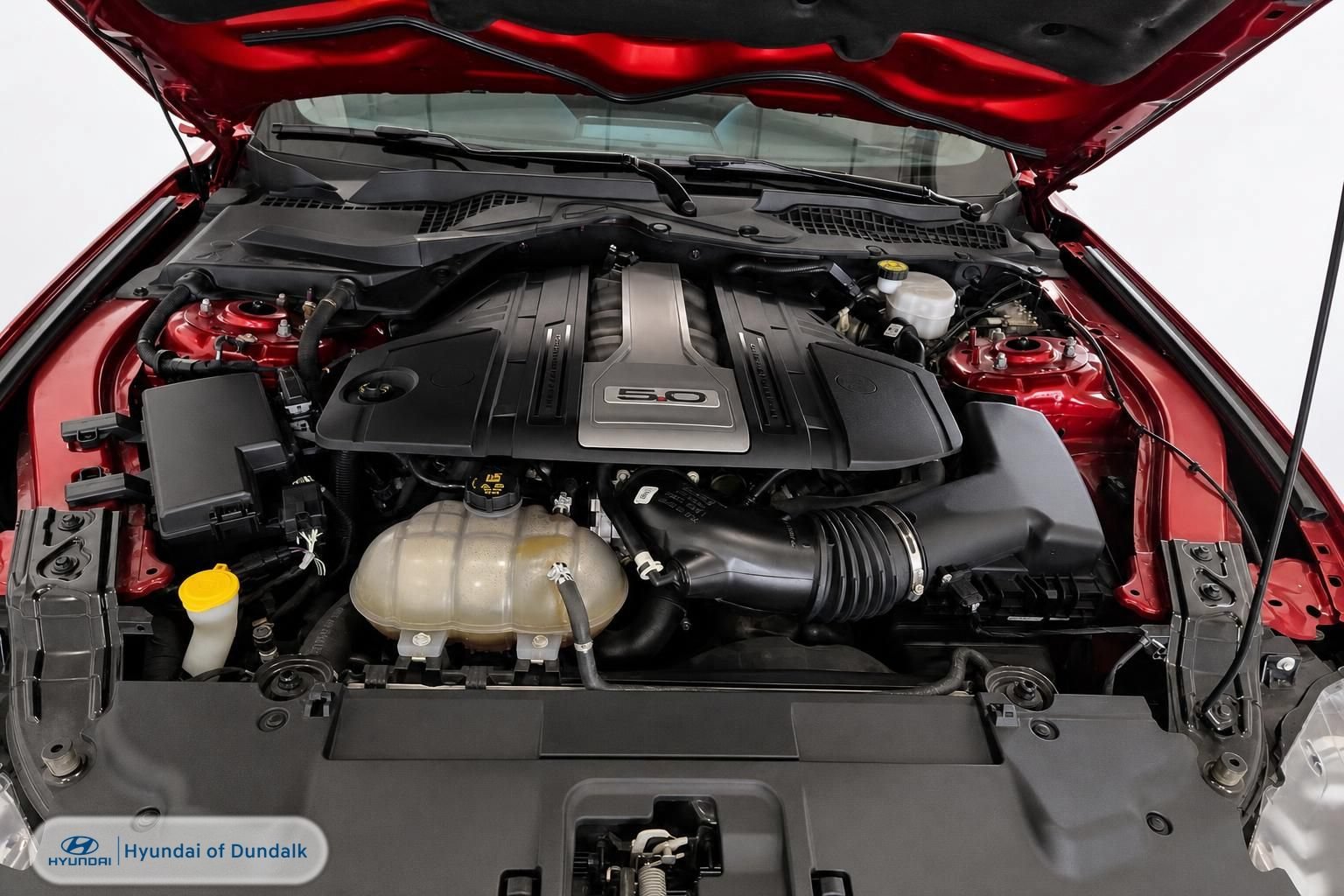 Used 2019 Ford Mustang GT Premium w/ Equipment Group 401A RWD image 13