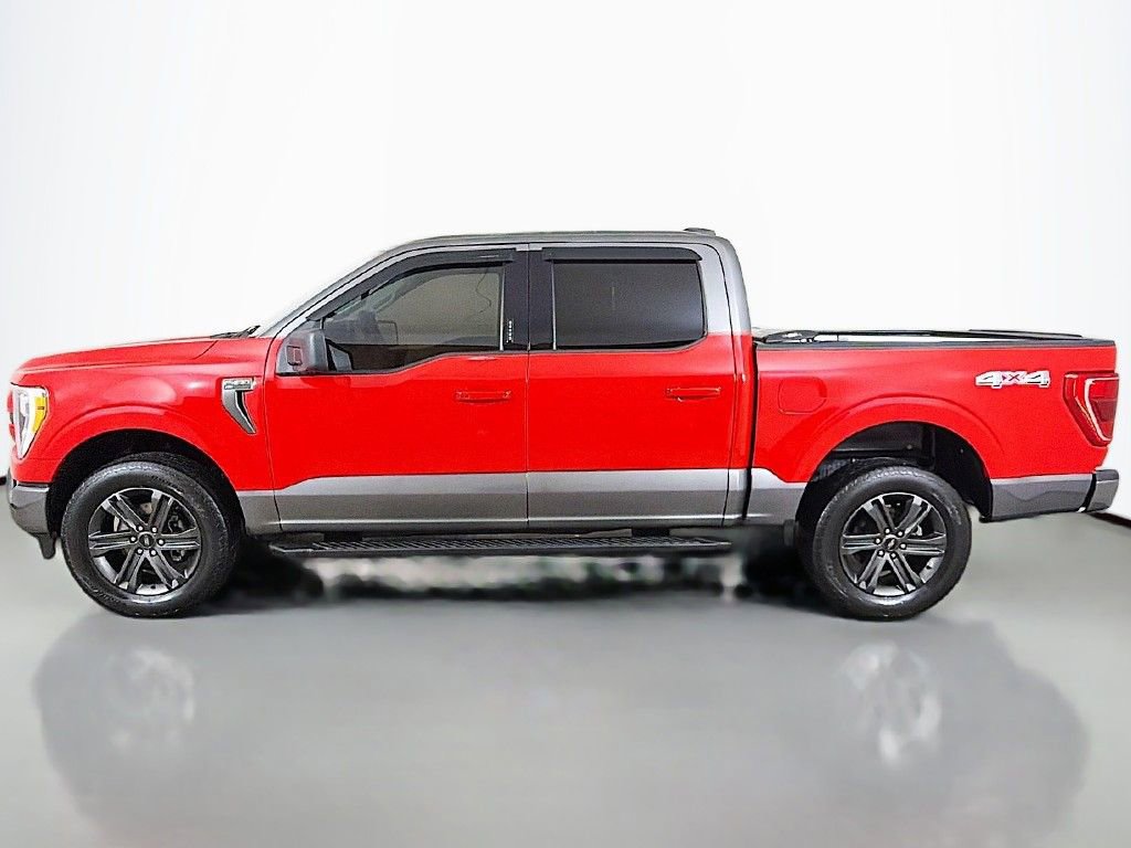Used 2023 Ford F150 XLT w/ Equipment Group 302A High AWD/4WD image 13