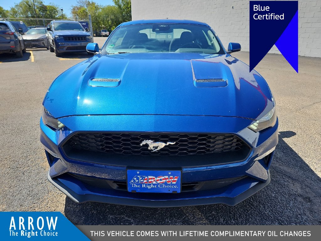Certified 2023 Ford Mustang Coupe w/ Equipment Group 101A RWD image 3