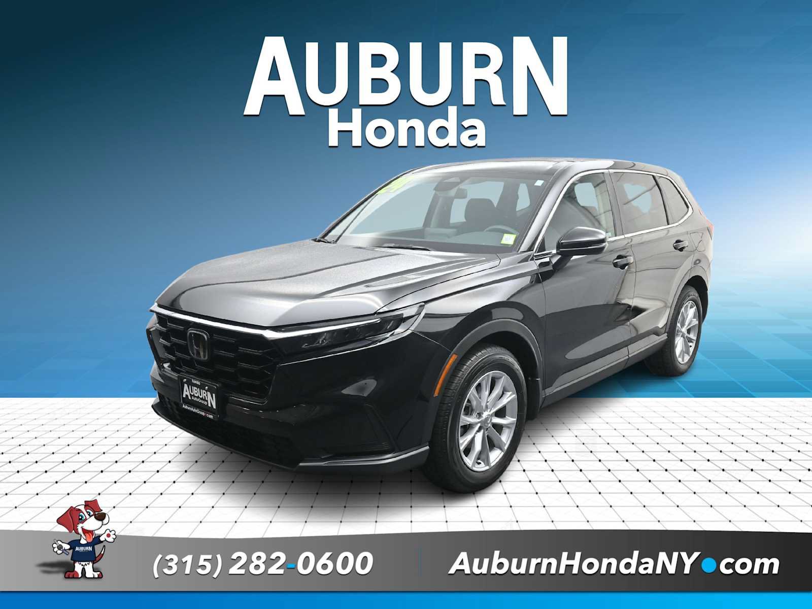 Used 2024 Honda CR-V EX image 1