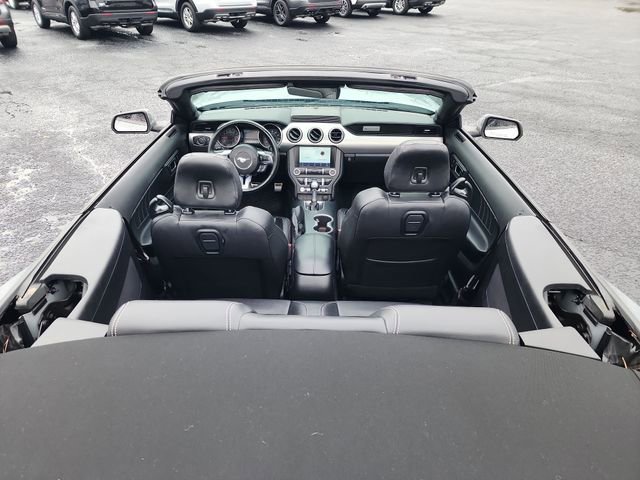 Used 2021 Ford Mustang Premium image 16