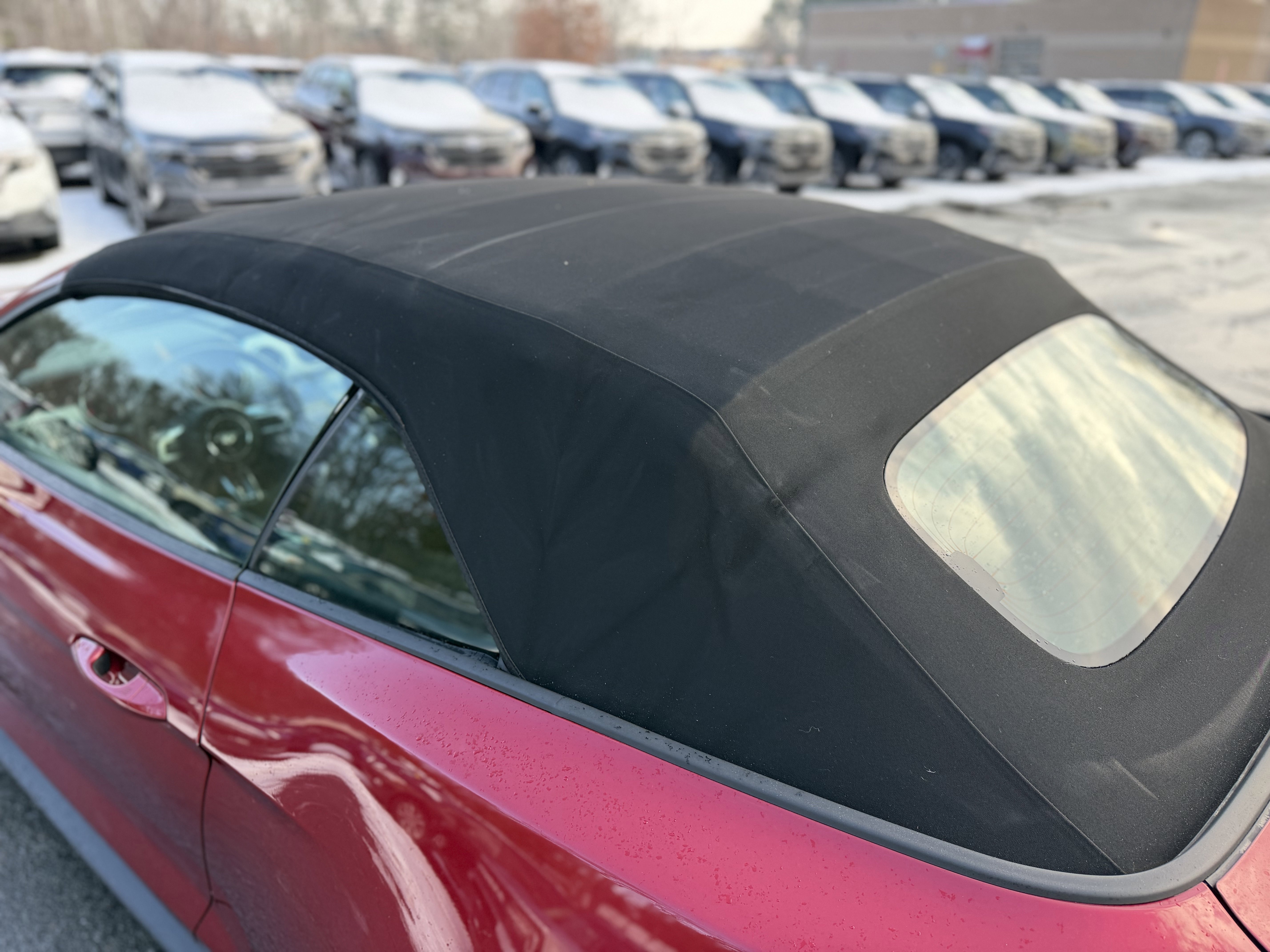 Used 2017 Ford Mustang Premium w/ Wheel & Stripe Package image 7