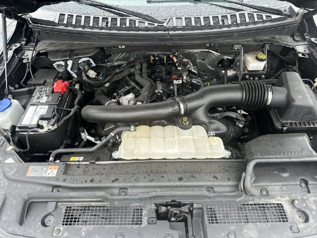 Used 2024 Ford Expedition XLT AWD/4WD image 25