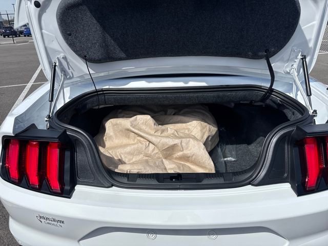 Certified 2019 Ford Mustang GT Premium w/ Equipment Group 401A image 12