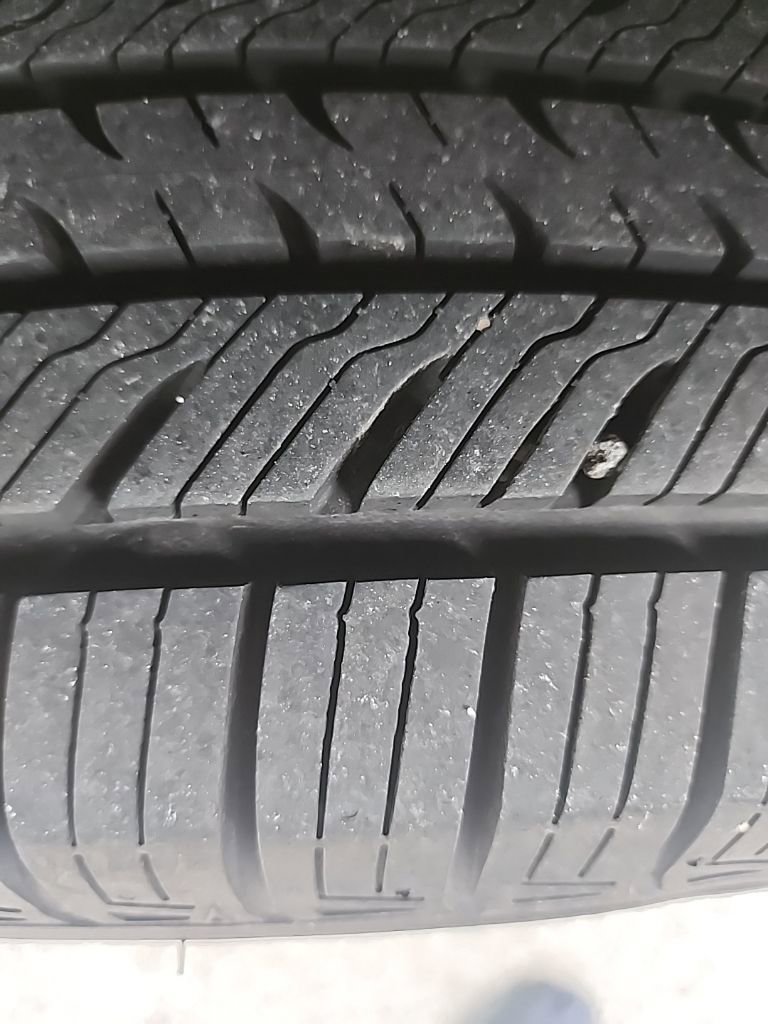 Used 2019 Volkswagen Tiguan SE image 4