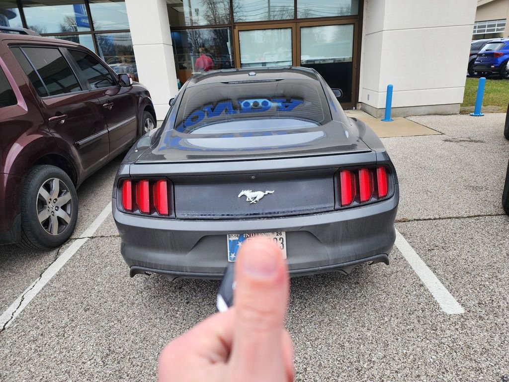 Used 2017 Ford Mustang Premium w/ Equipment Group 201A image 4