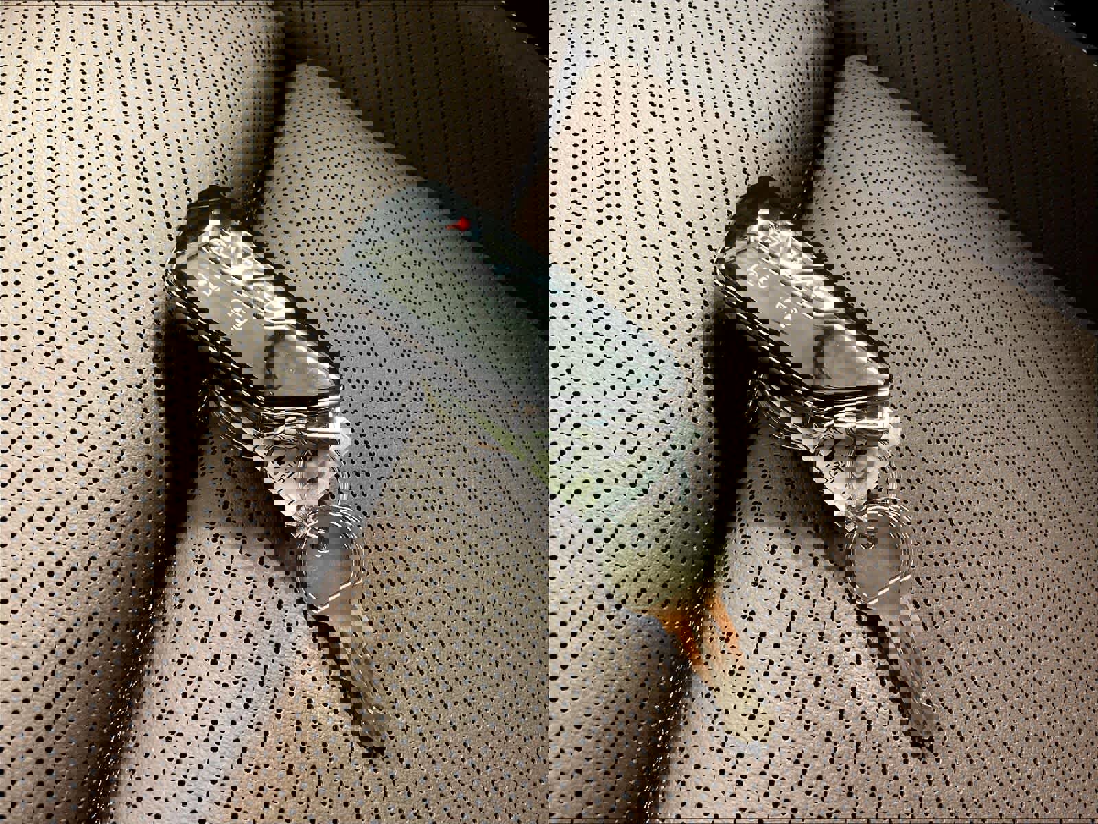 New 2025 Volkswagen ID. Buzz Pro S image 33