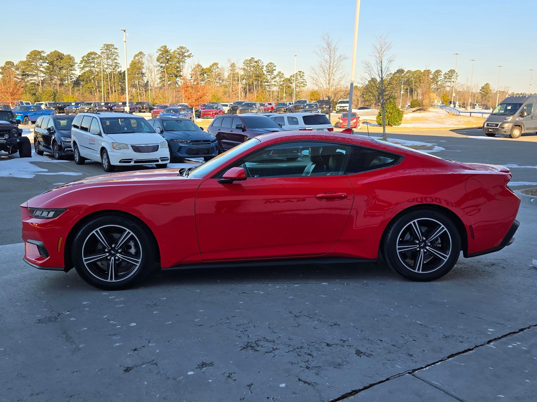 Used 2024 Ford Mustang Premium image 4