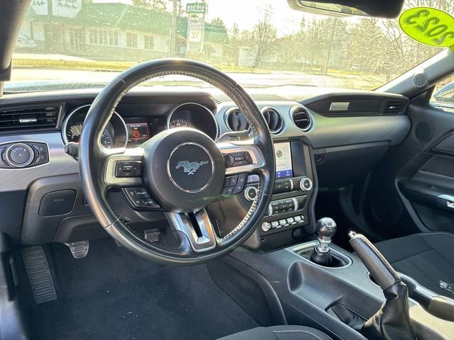 Used 2023 Ford Mustang GT w/ Equipment Group 301A image 10