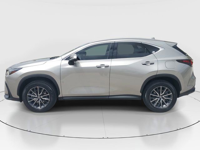 Used 2024 Lexus NX 250 FWD w/ Cold Area Package image 7