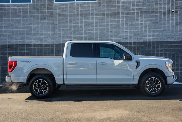 Used 2023 Ford F150 XLT w/ Equipment Group 302A High image 4