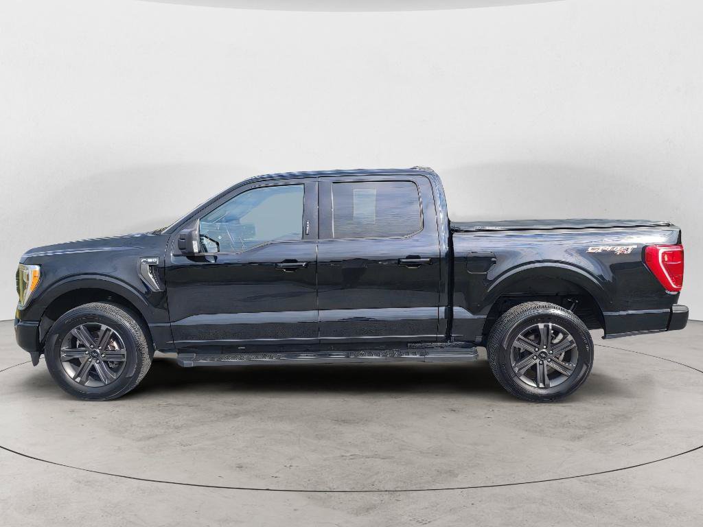 Used 2023 Ford F150 XLT w/ Equipment Group 302A High AWD/4WD image 8