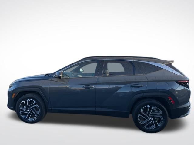 Used 2025 Hyundai Tucson Limited AWD/4WD image 8