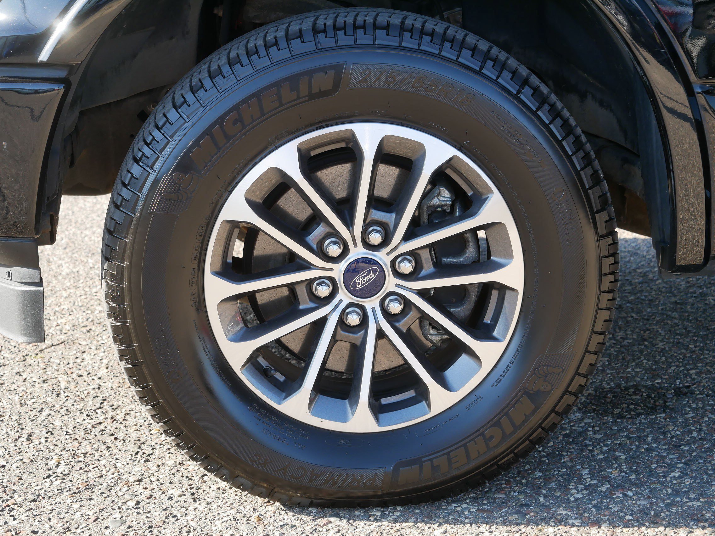Used 2019 Ford F150 XLT w/ Equipment Group 302A Luxury AWD/4WD image 15