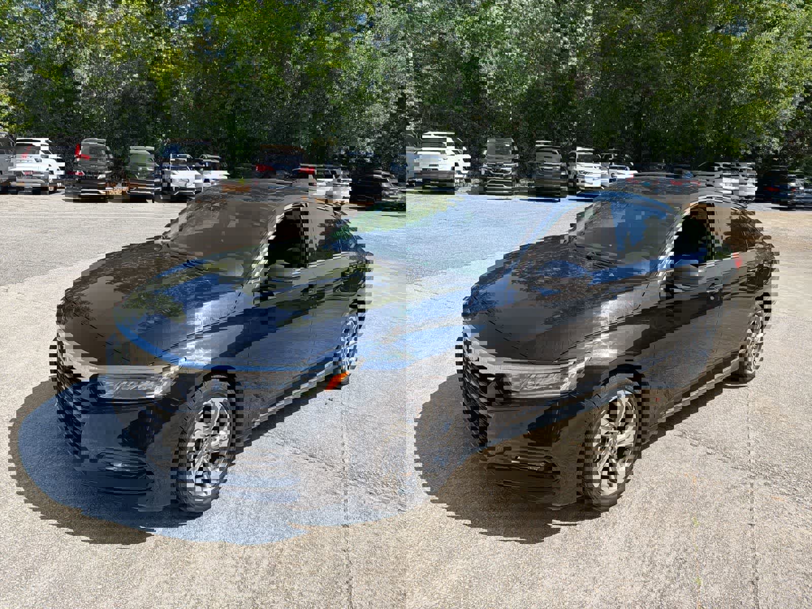 Used 2020 Honda Accord EX image 4