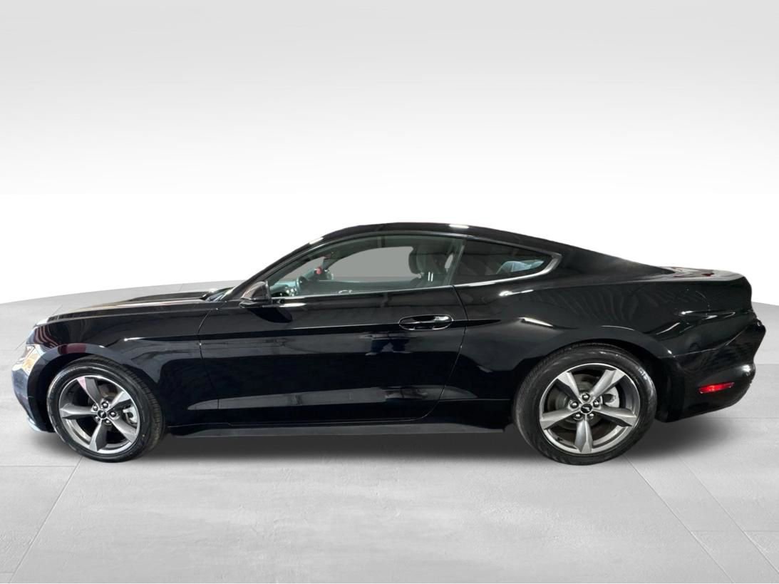 Used 2016 Ford Mustang Coupe w/ Equipment Group 051A RWD image 8
