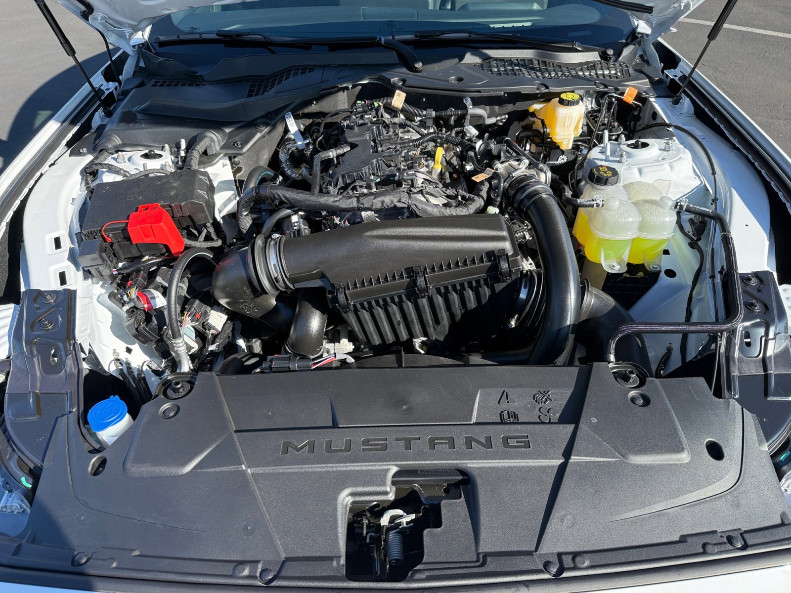 New 2026 Ford Mustang Coupe image 20