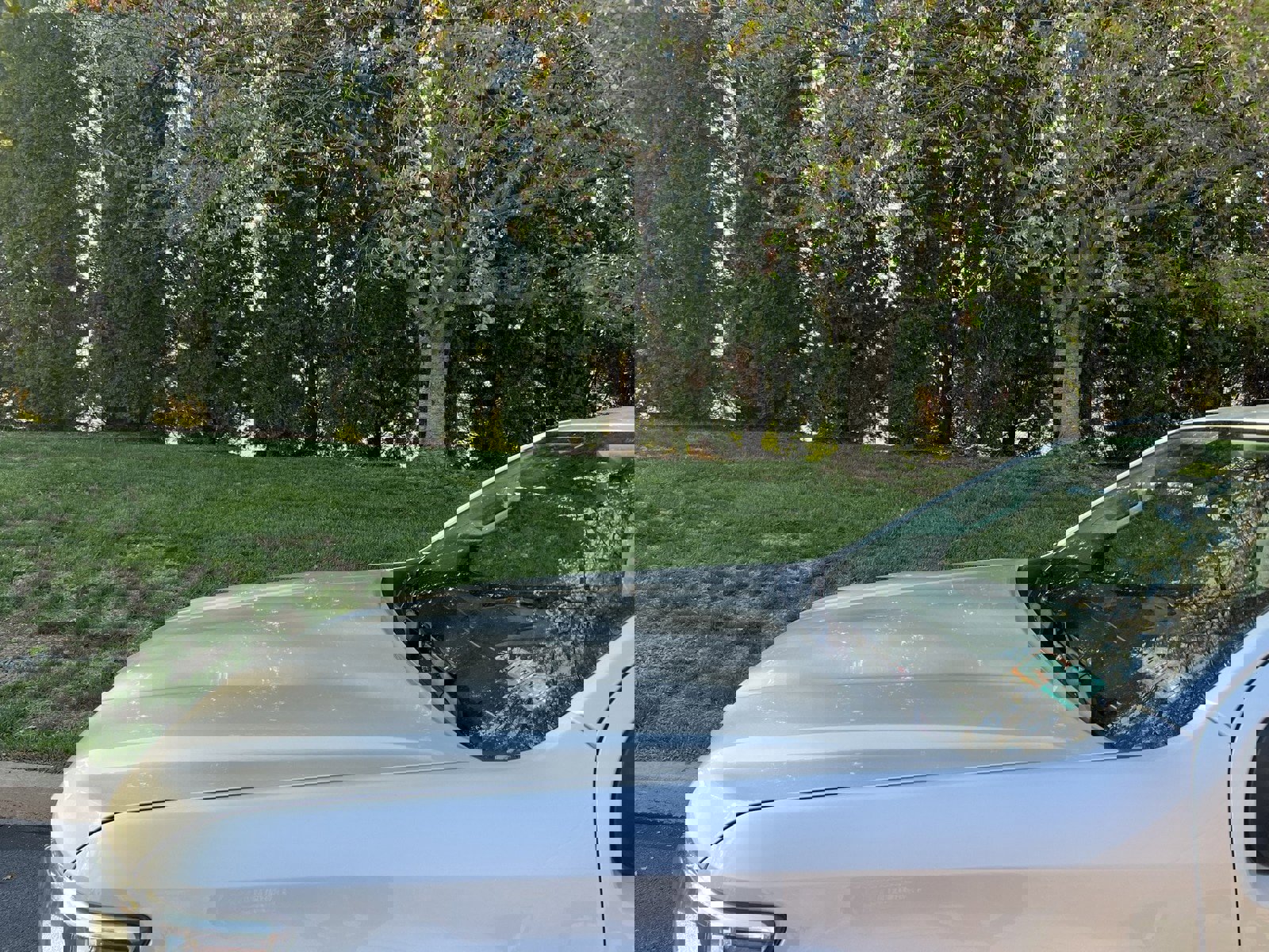 Used 2019 Chevrolet Colorado Z71 image 91