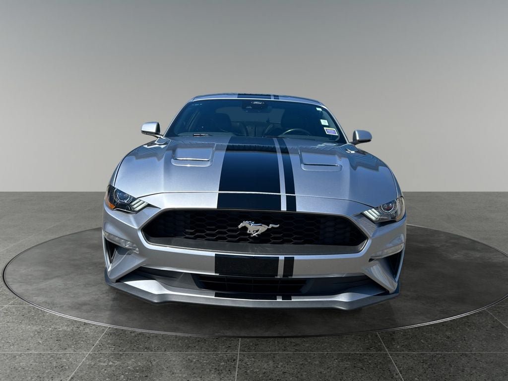 Used 2023 Ford Mustang Premium w/ Equipment Group 201A RWD image 2