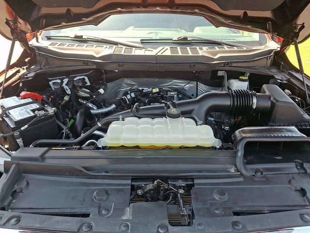 Certified 2023 Ford F150 XLT w/ Equipment Group 302A High AWD/4WD image 29
