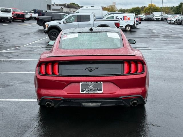 Used 2023 Ford Mustang Coupe w/ Equipment Group 101A image 4