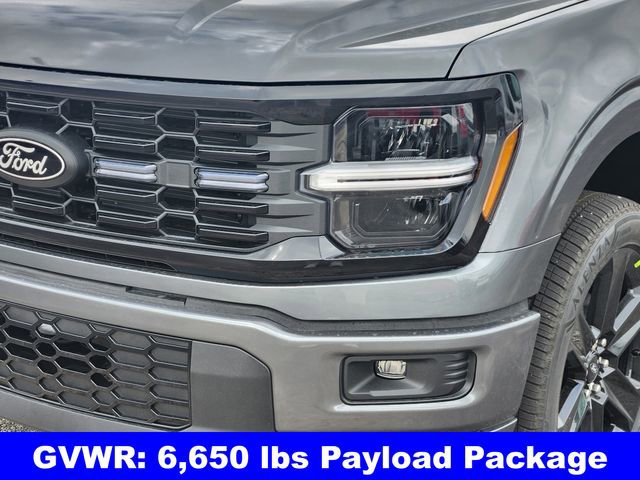 New 2026 Ford F150 STX w/ F-150 LOBO Package image 8