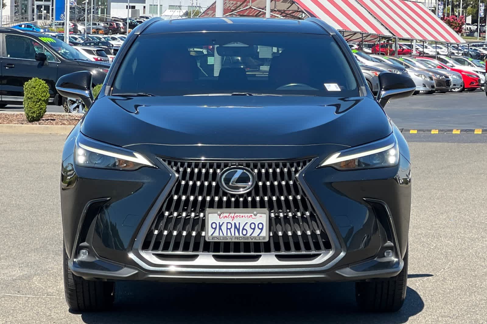 Certified 2024 Lexus NX 350 AWD w/ Cold Area Package image 10