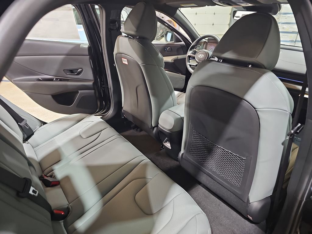New 2026 Hyundai Elantra Limited image 11