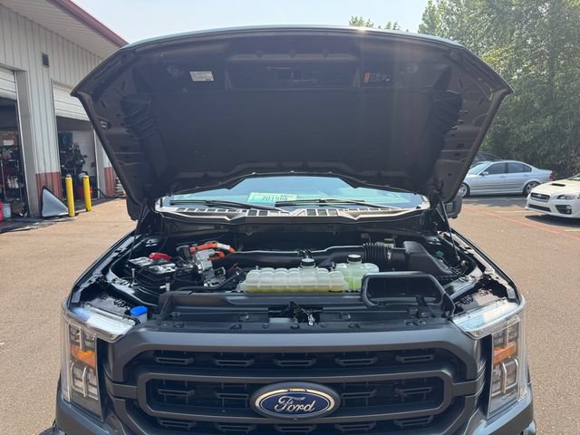 Used 2023 Ford F150 XLT w/ Equipment Group 302A High AWD/4WD image 19
