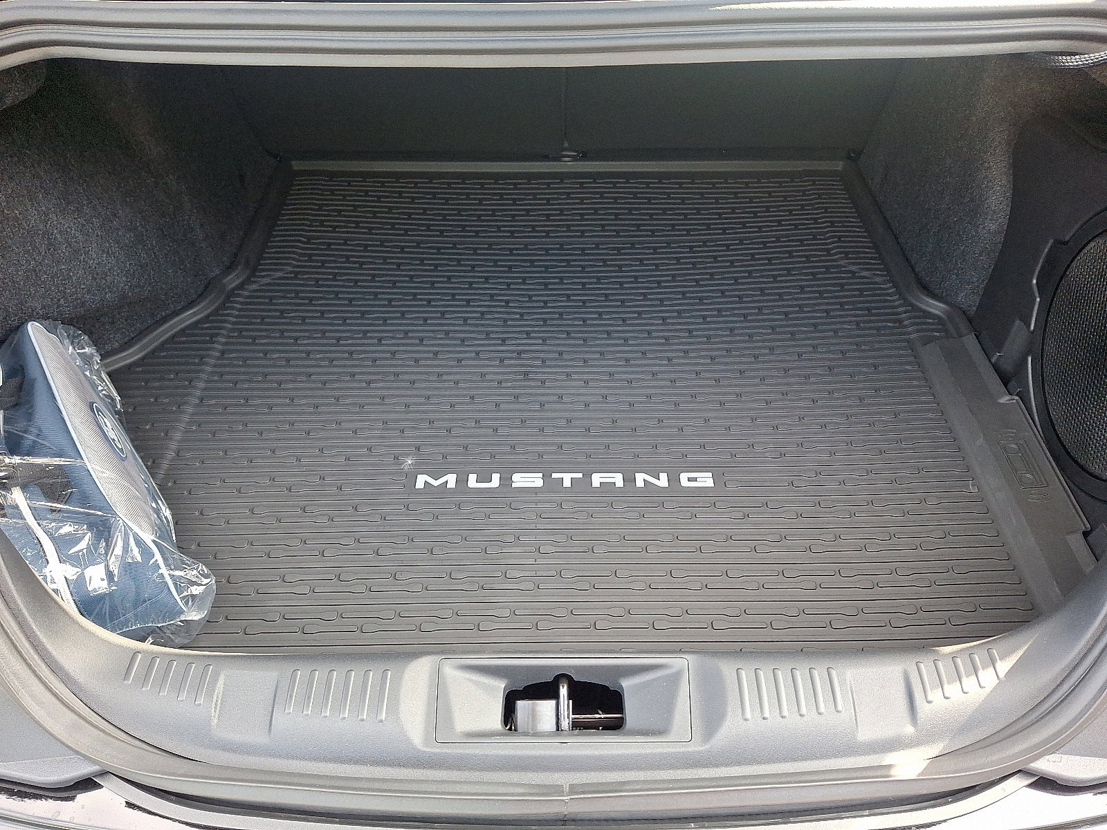 New 2025 Ford Mustang GT Premium image 20