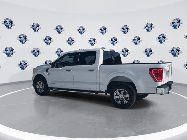 Used 2021 Ford F150 XLT w/ Equipment Group 302A High image 7