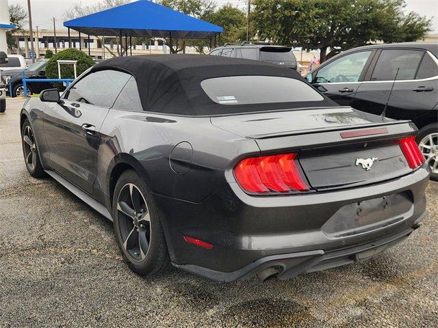 Used 2019 Ford Mustang Convertible w/ Equipment Group 101A image 4